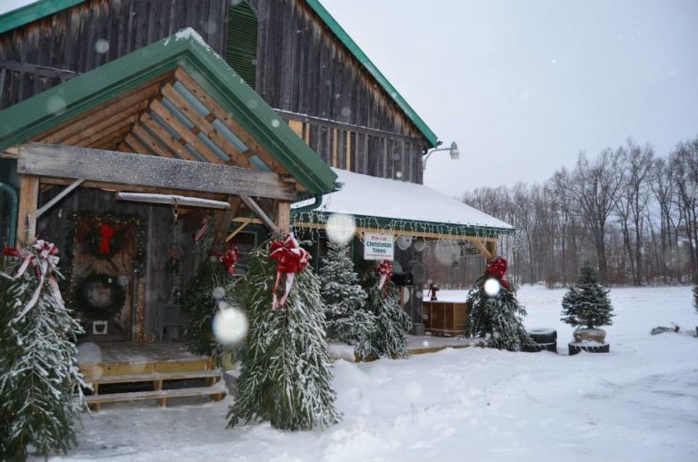 Most excellent Christmas Tree Farms Across America | Mylargebox