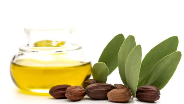 Jojoba Oil: 