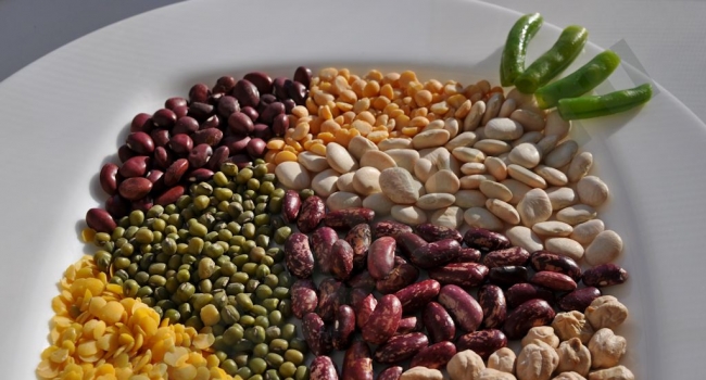 Legumes