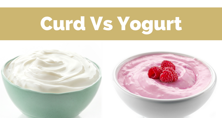 What is the difference between curd and Yogurt?