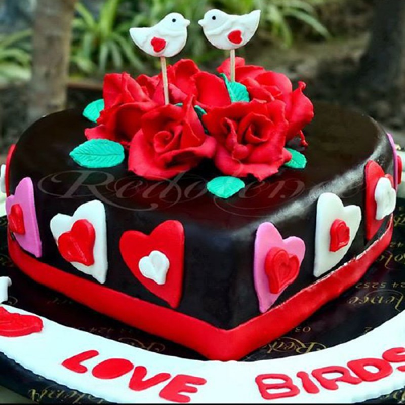 Valentine love bird cake