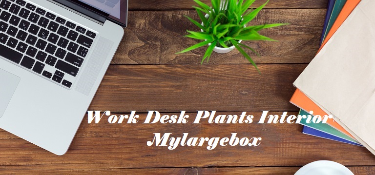 Make work space at home by decorating plants, prepare desk in a comfortable, low budget