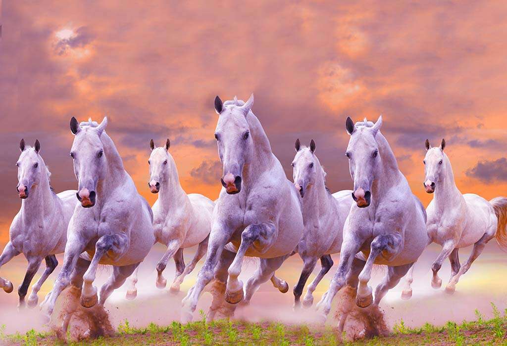 Picture of seven horses