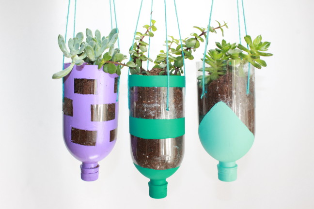 plastic bottle plant ideas