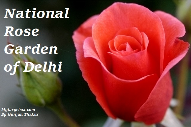 Know these important things related to National Rose Garden of Delhi