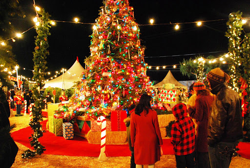 Christmas Markets: These Markets Are Best For Christmas Shopping In Delhi