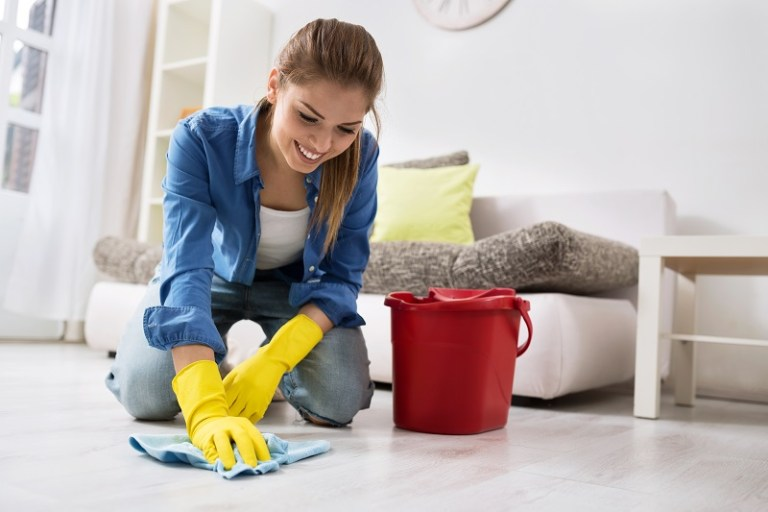 Enjoy the Top Domestic Cleaning from Revesby