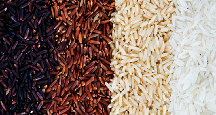 Which variety (brand) of rice is the best?