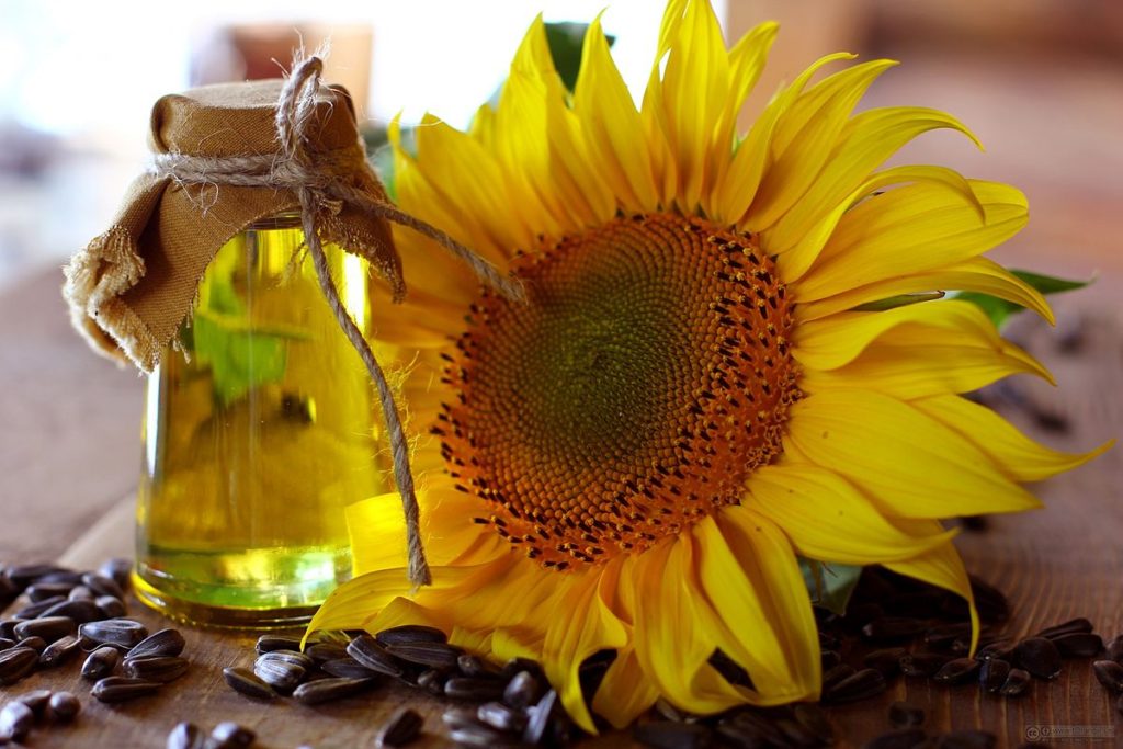 Sunflower cooking oil