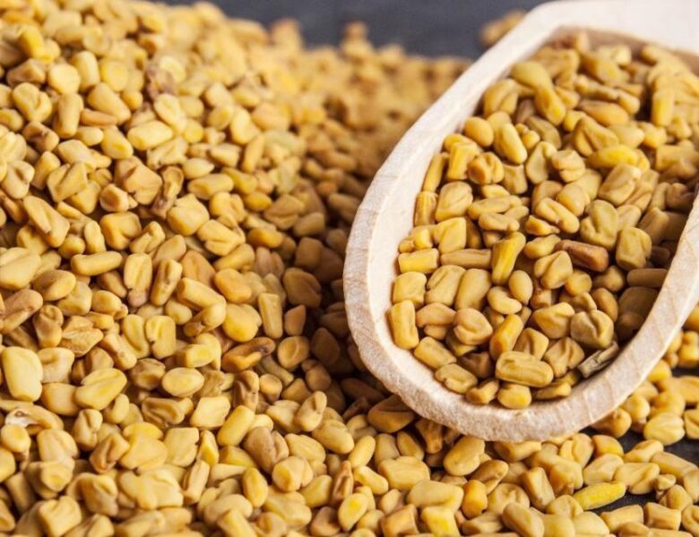 Not only white hair but also the treatment of baldness is fenugreek