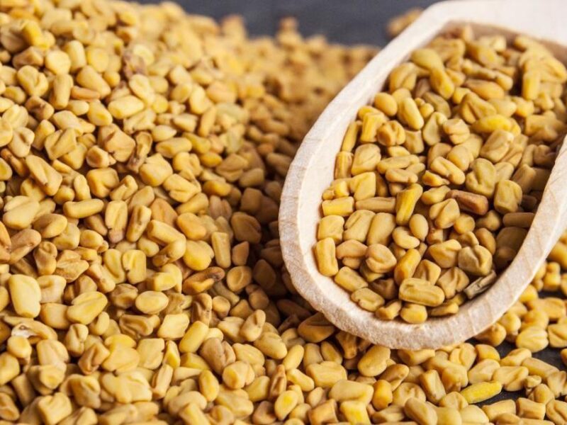 Not only white hair but also the treatment of baldness is fenugreek