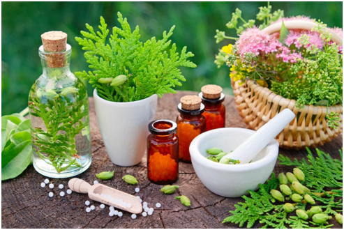 5 Truths About Homeopathy Treatment Probably You Don’t Know