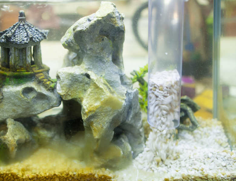 How to use Fish Aquarium to decorate the house