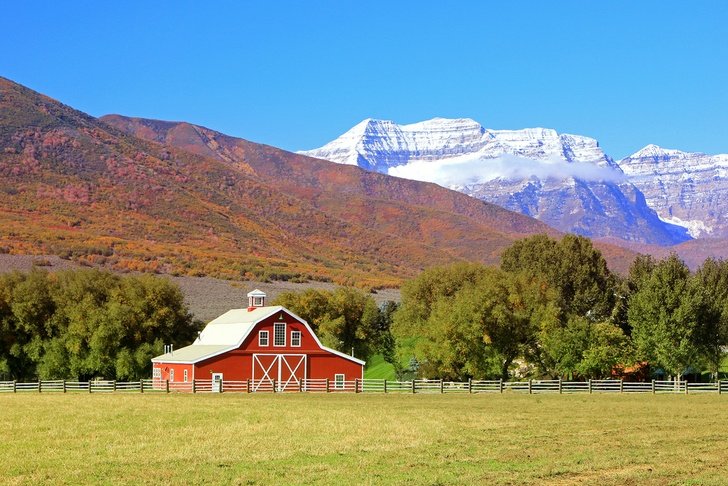 In each farming enterprise a barn is a crucial component