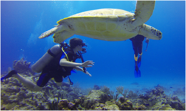 Why Scuba Diving is an Exhilarating Experience