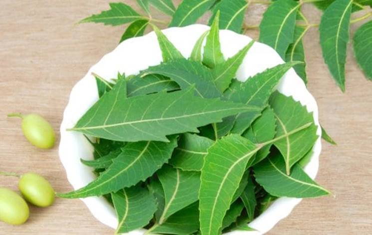 Benefits of Neem-Ayurvedic Herbs