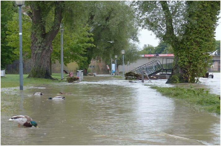 How to Prevent Your House from Flooding