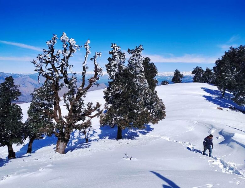 Nag Tibba Trek Guide 2022