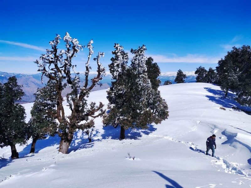 Nag Tibba Trek Guide 2022