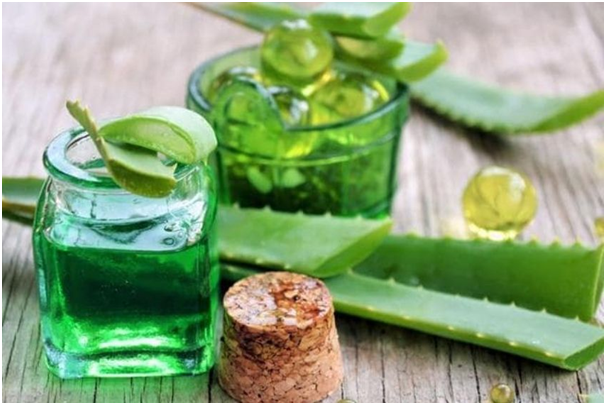 Aloe Vera: Offers Many Health Benefits