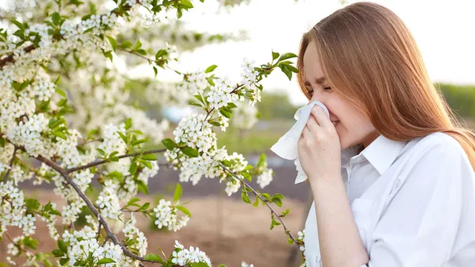 The Cause and Treatment of Pollen Allergy