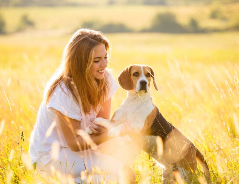 How to Provide Best Life to Your Pet