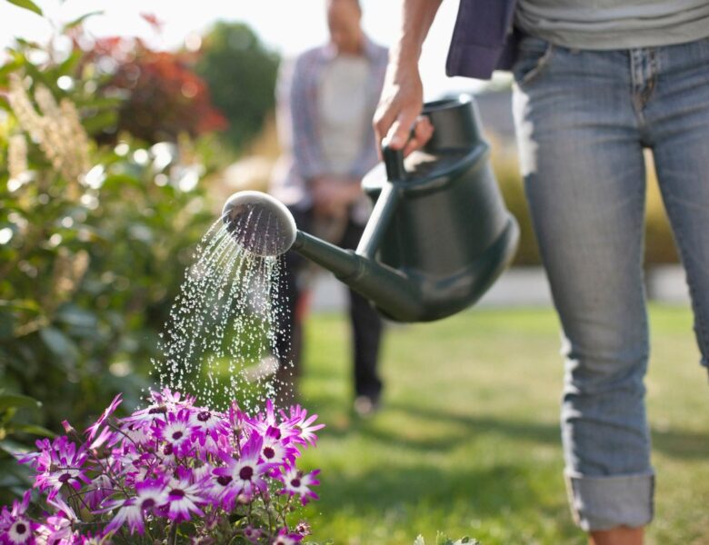 If you are going on holidays then you can give water to plants like this