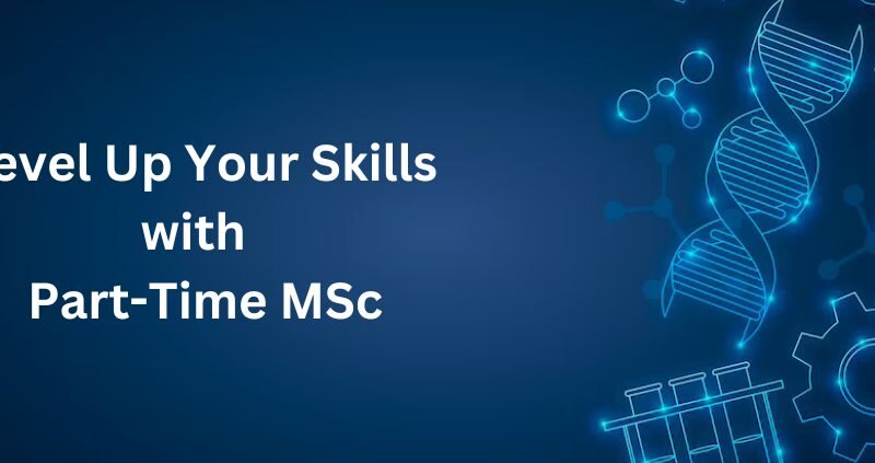 Level Up Your Skills with a Part-Time MSc