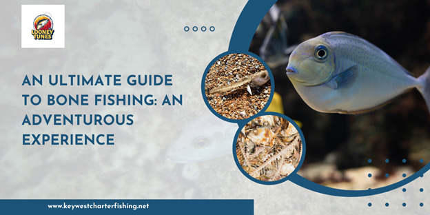 Ultimate Guide to Bone Fishing:  An Adventurous Experience