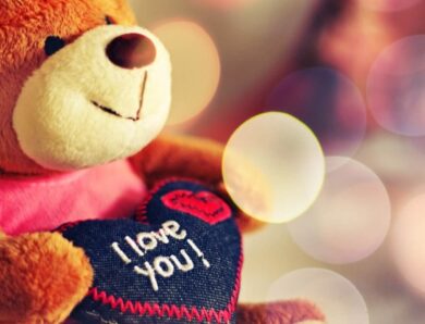 Teddy Day 2024: know why Teddy Day is celebrated