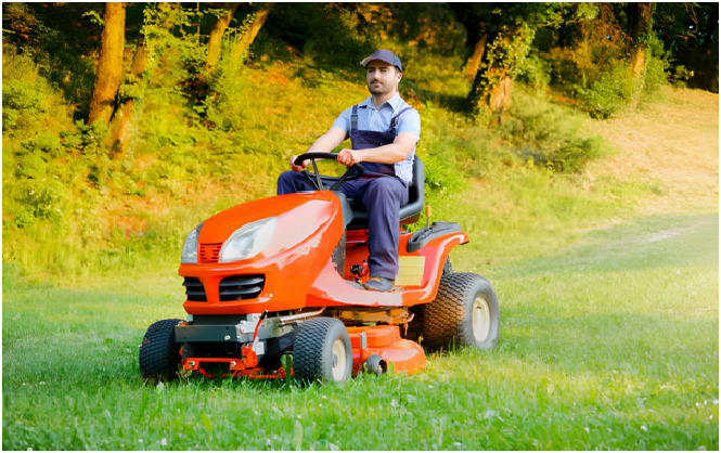 Top 5 Reasons Why Bushranger Mowers Are a Cut Above the Rest