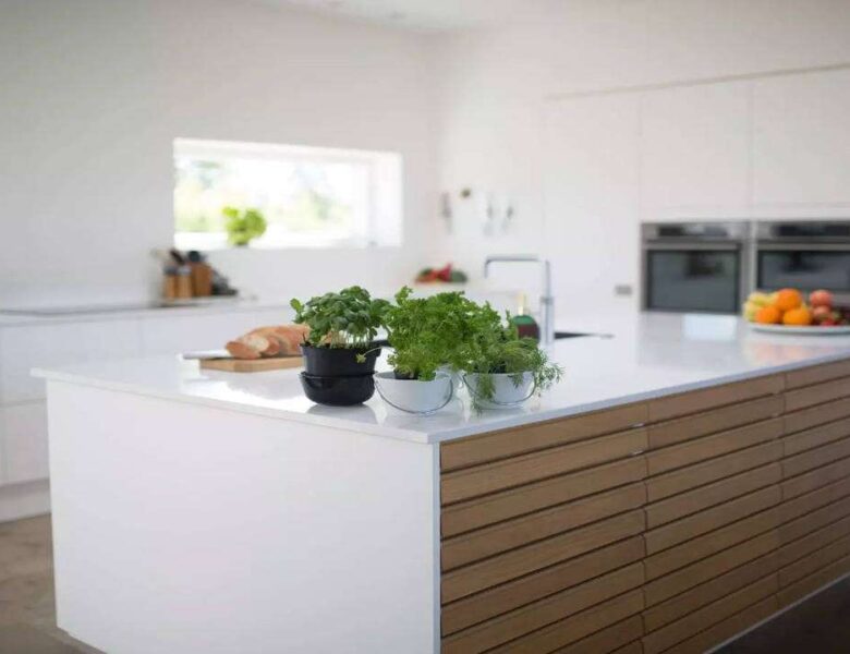 Vastu Tips for Kitchen: Do not leave these things empty in the kitchen, otherwise the work being done will get spoiled
